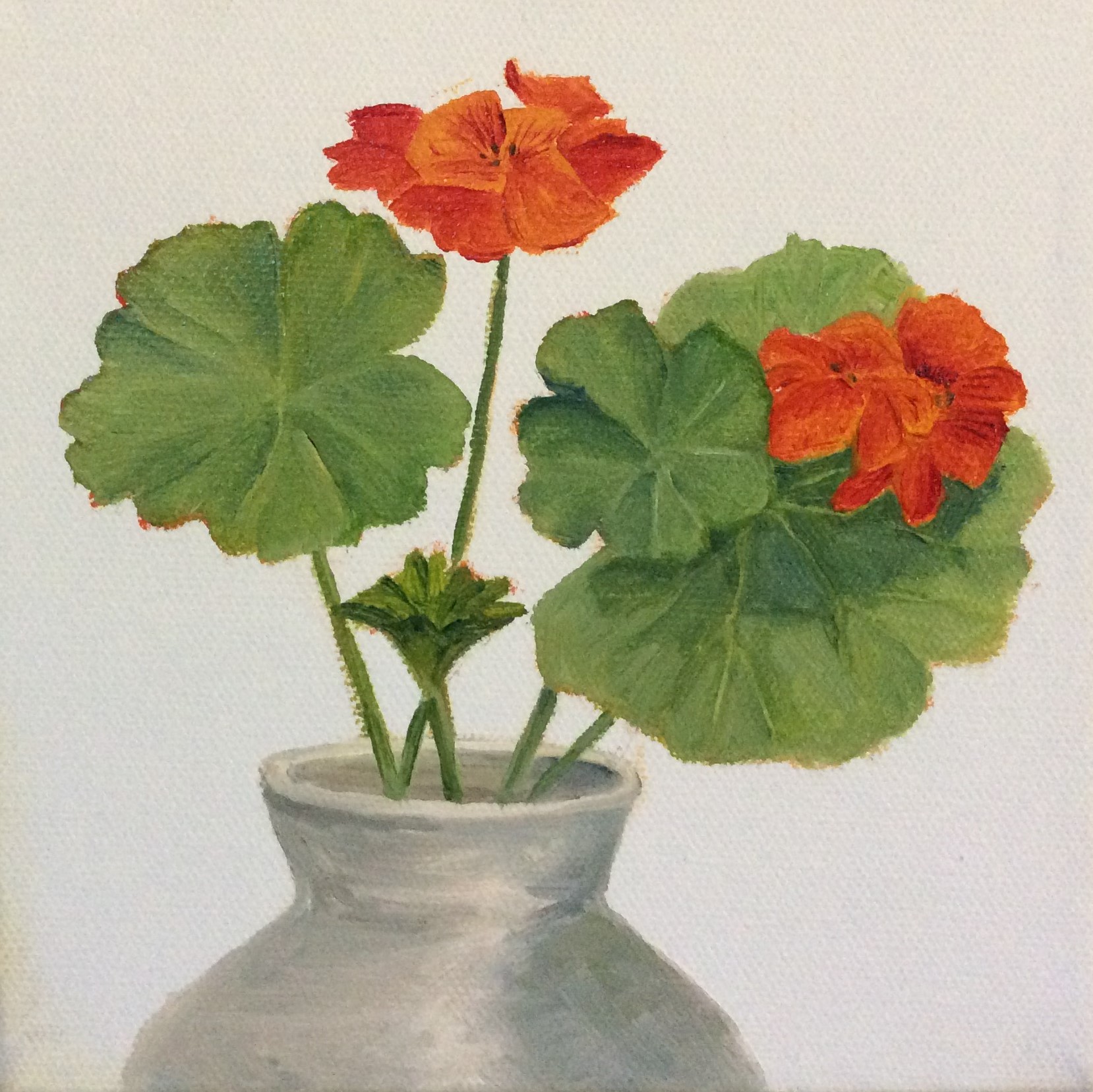 Geranium en plein air - 6 x 6 oil on canvas SOLD