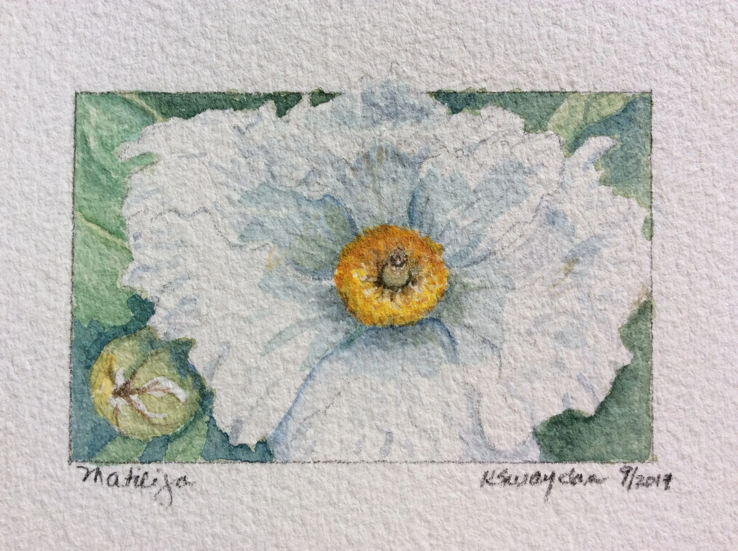 Matililja - framed 10 x 10" - SOLD