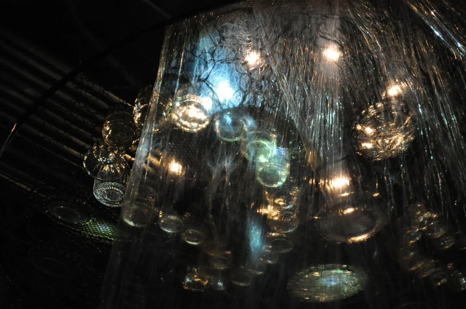 bottles thru saran squarespace.jpg