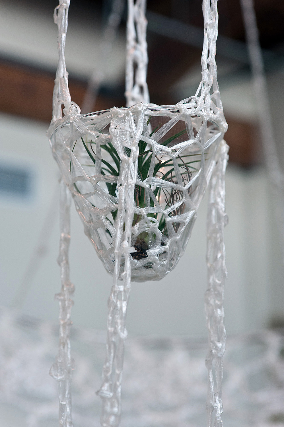suspended plant detail squarespace.jpg