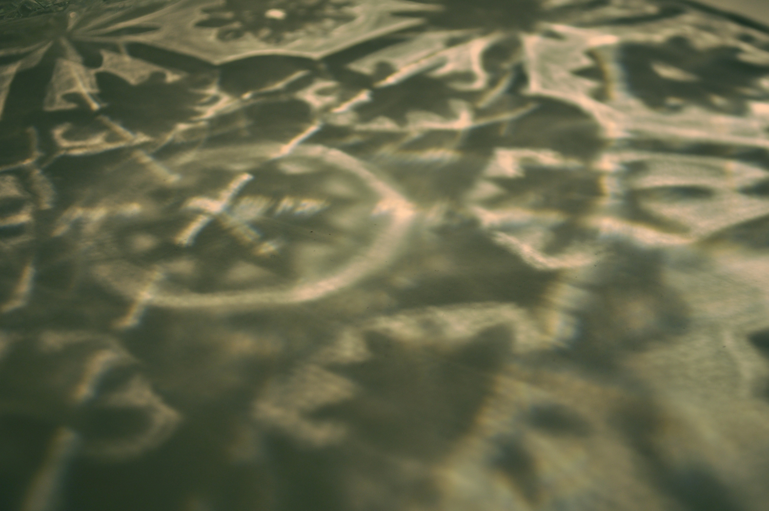 plate shadow squarespace.jpg