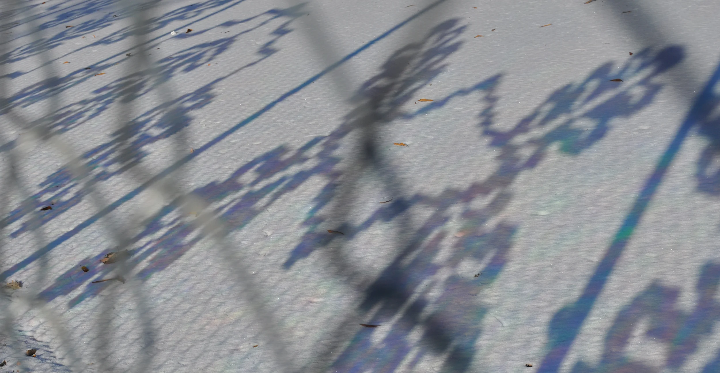 05 rainbow shadow squarespace.jpg