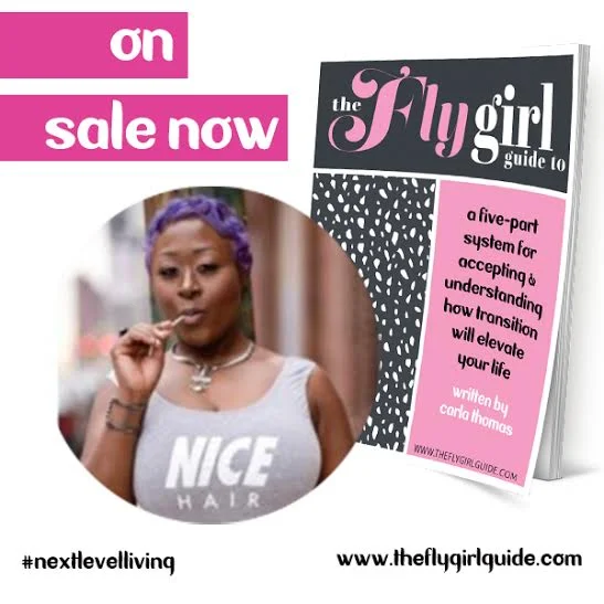 The Fly Girl Guide to Next Level Living (Physical Copy)