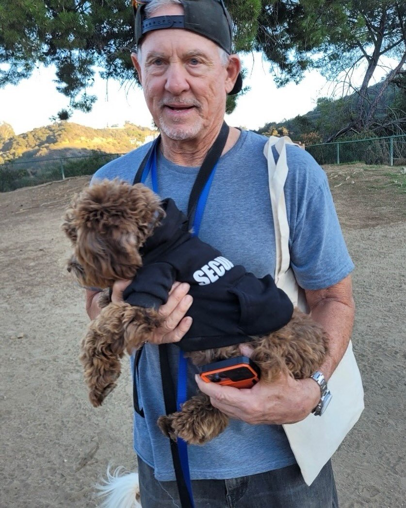 Looking a bit shaggy! Not you puppy the old man;)