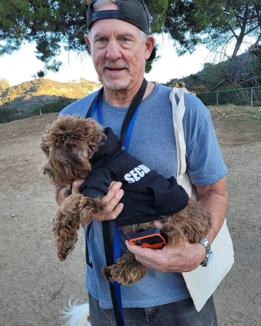 Looking a bit shaggy! Not you puppy the old man;)