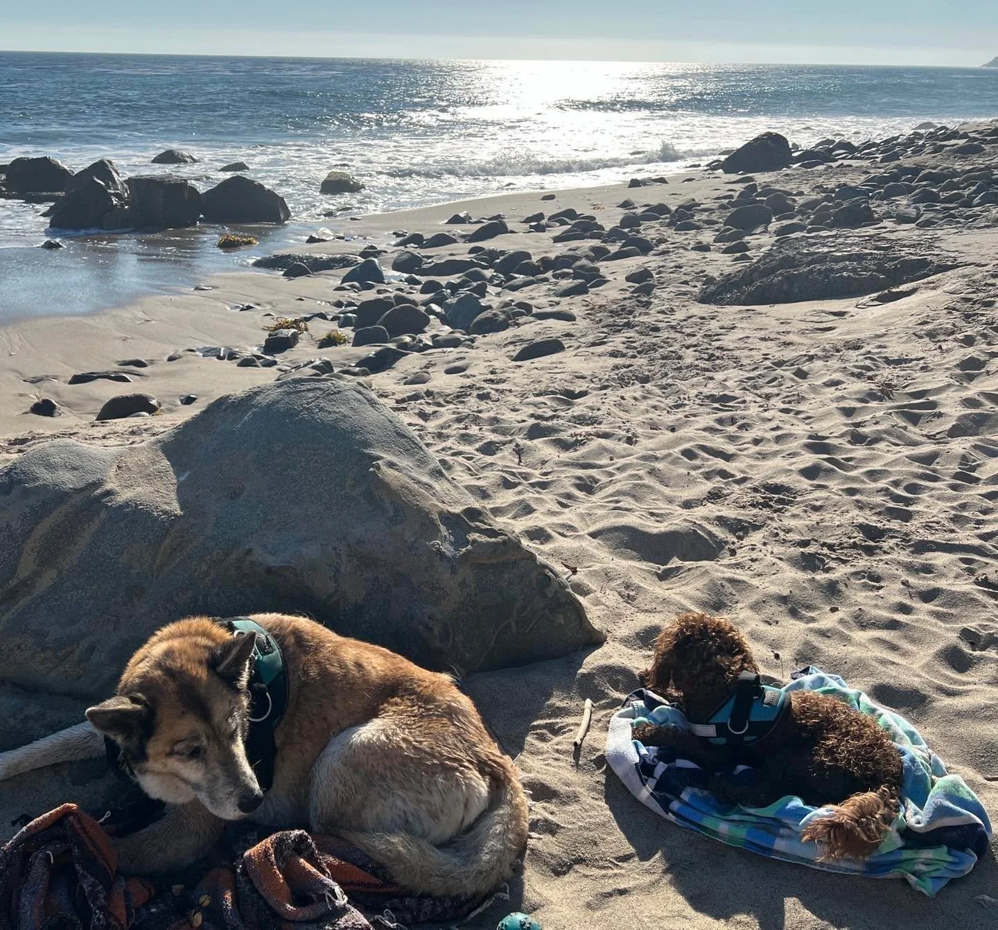 Young pup says to the elder, &ldquo;the sun is ready to set&rdquo;. Old dog responds, &ldquo;indeed it is youngling but lets not rush it ;)