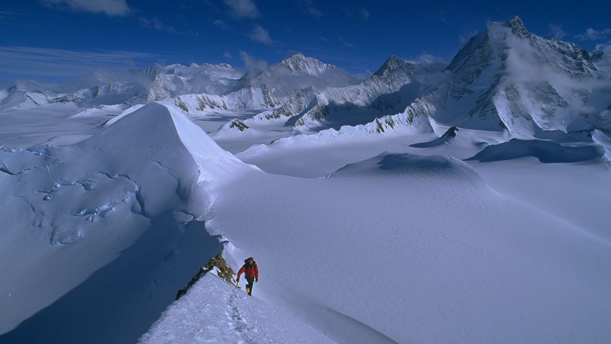TNF_Pic5.jpg