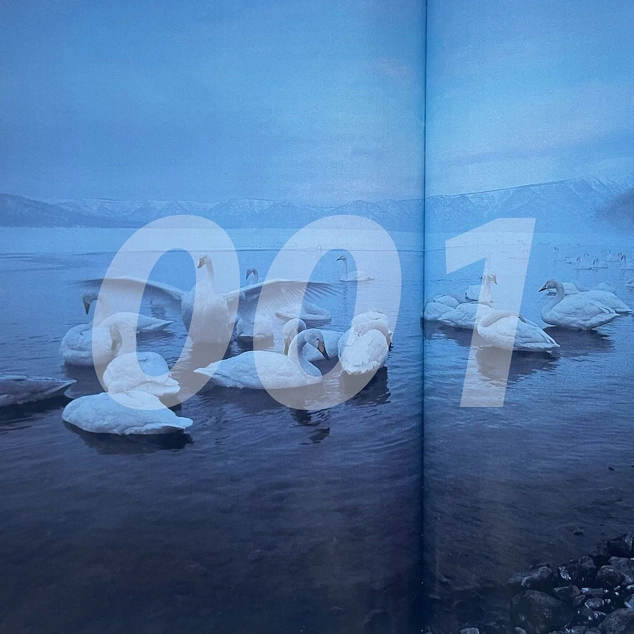 Sea Bird Song Sky 001

tags: slow-burn, languorous meditations on soft, easy-listening, and artful indie ballads

LIYL: Broken Social Scene, Atlas Sound, The Sea and Cake, Peel Dream Magazine

Grounded and rooted in a hypnotic meditation, Sea Bird So