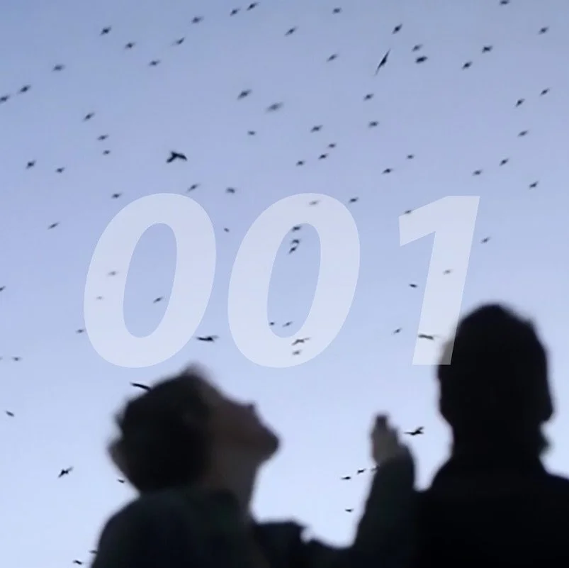 Pale Blue 001

tags: feel-good indie, windows-down-nostalgia; reverb dreams at golden hour

LIYL: Launder, Real Estate, Beach Fossils, DIIV, Wild Nothing

Pale Blue is a soundtrack for sunlit moments, where every note feels like the calm stretch of a