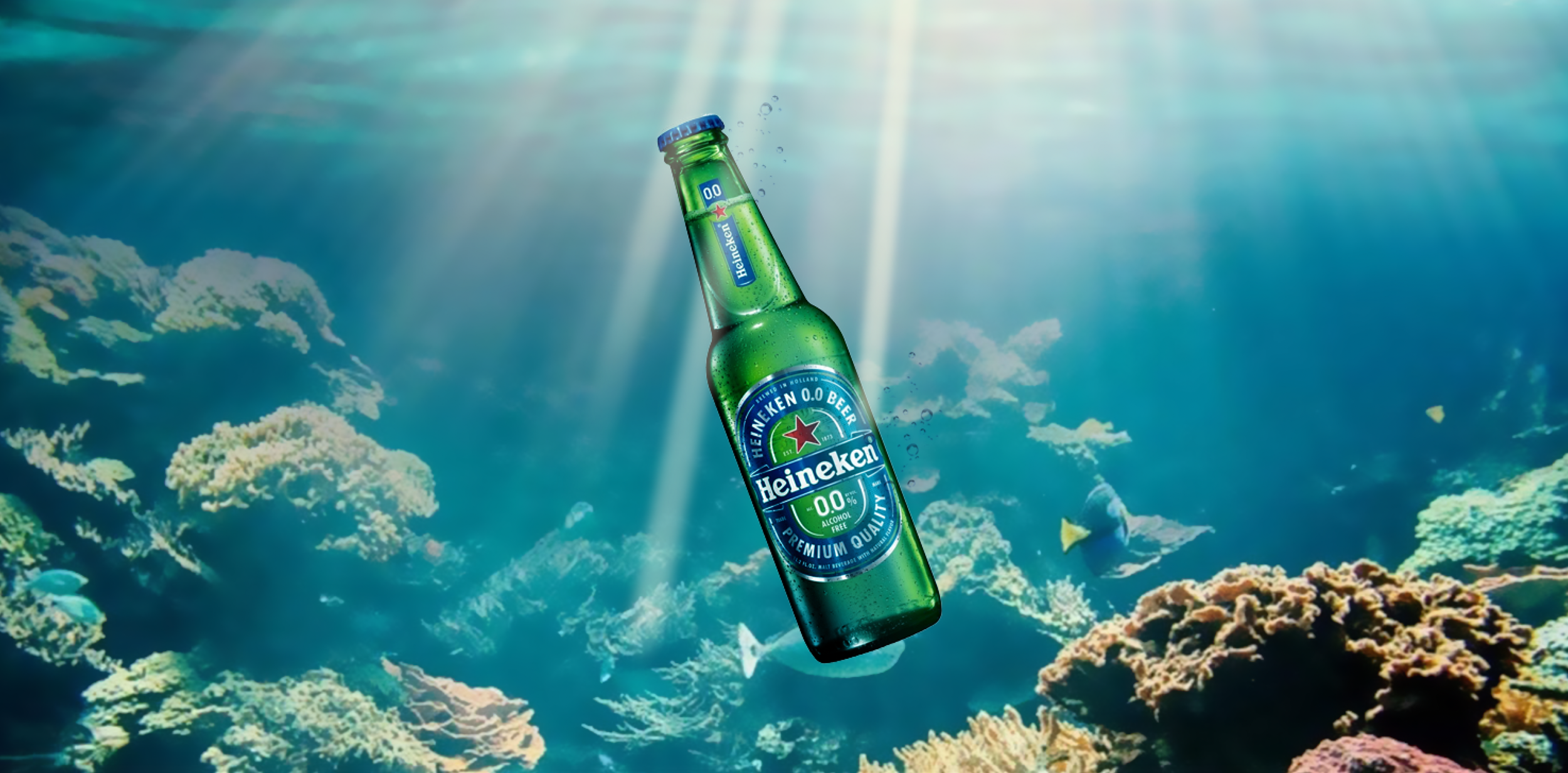 Screen Shot 2022-02-10 at 8.09.16 AM.png