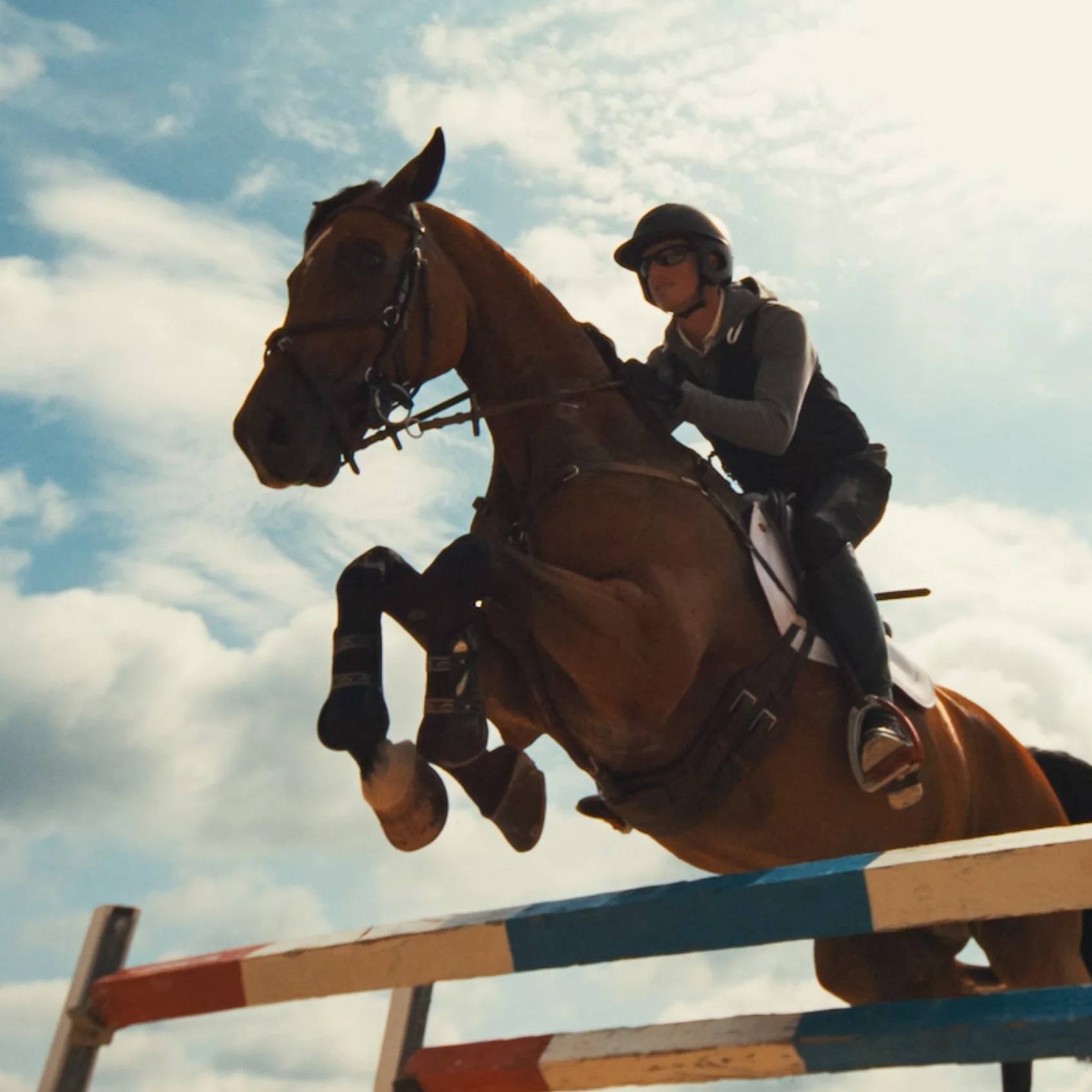 HorseJump-1x1.jpg