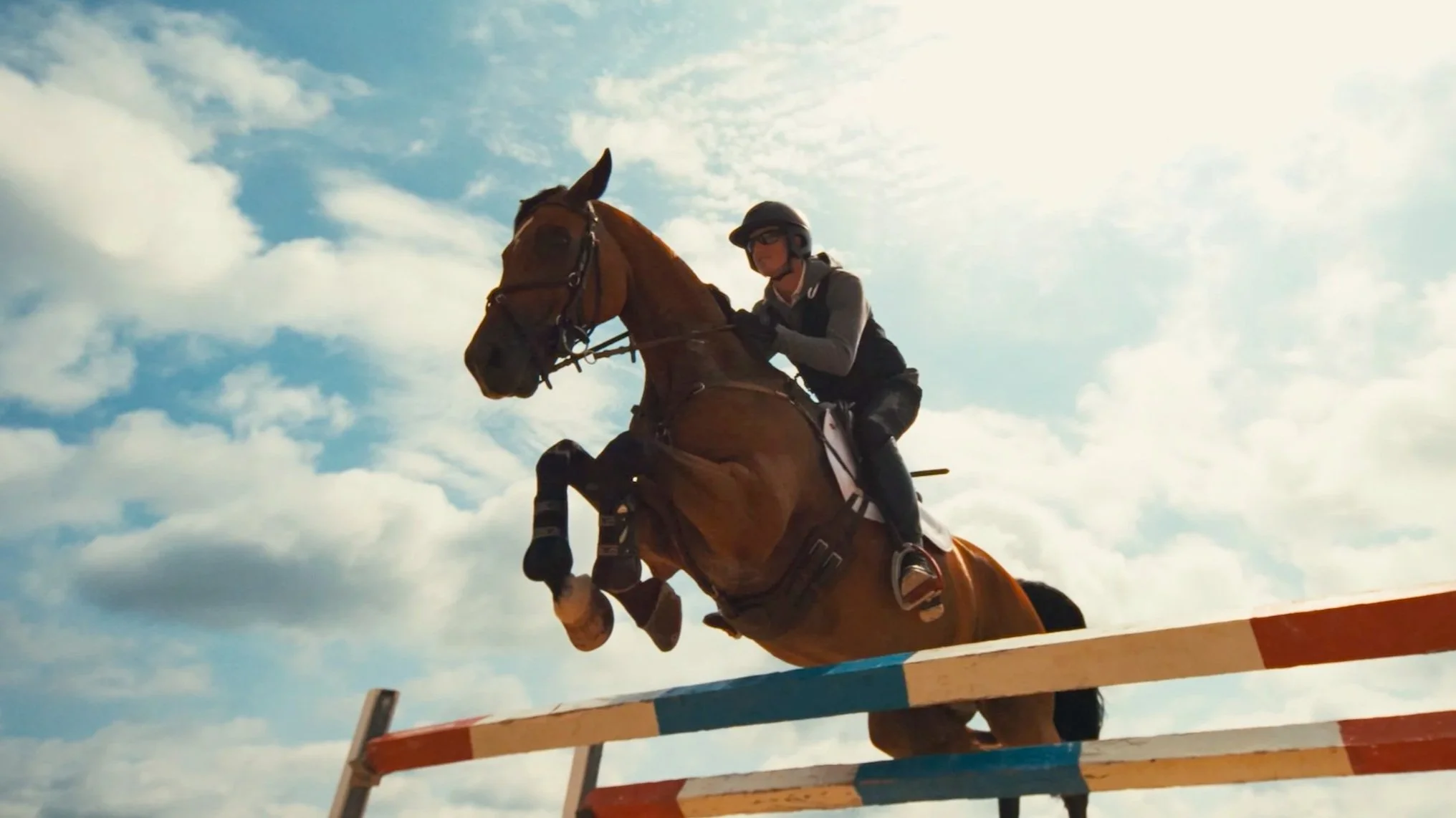 HorseJump-01.jpg