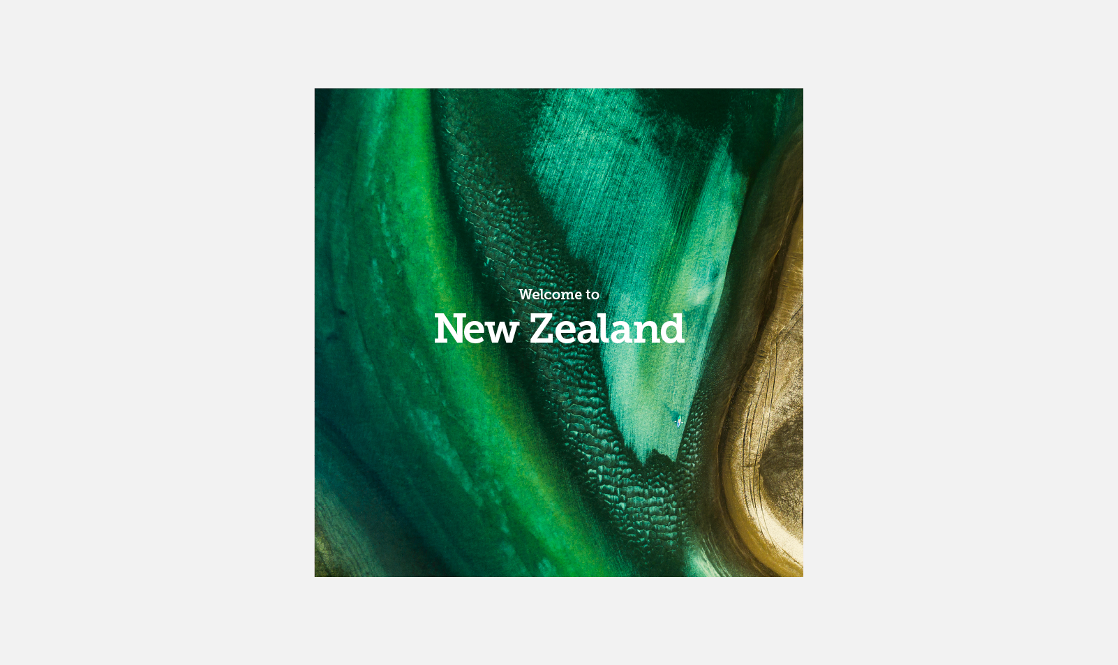 Starship Case Study 01.png