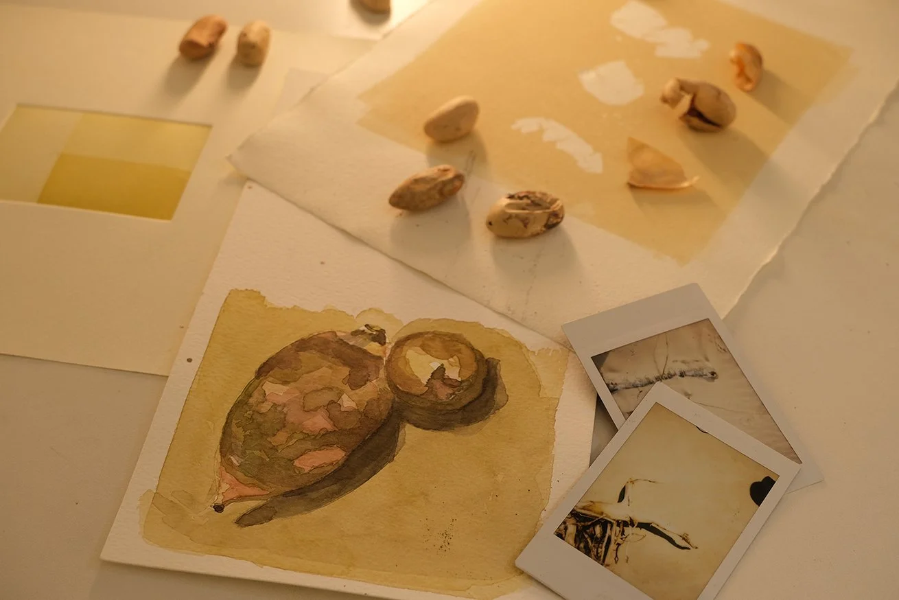 gravura jacas_utube.jpg