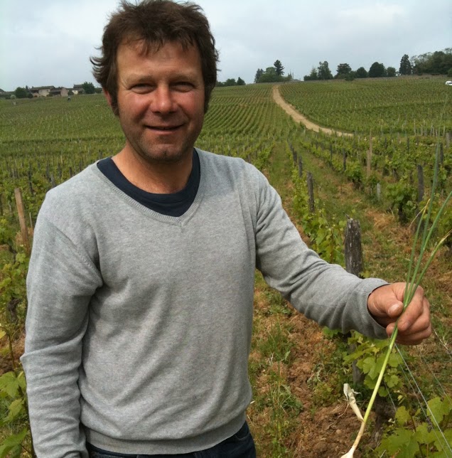 valetteinvineyard.jpg
