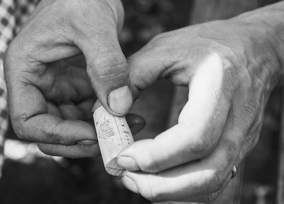 pinard hands.jpg