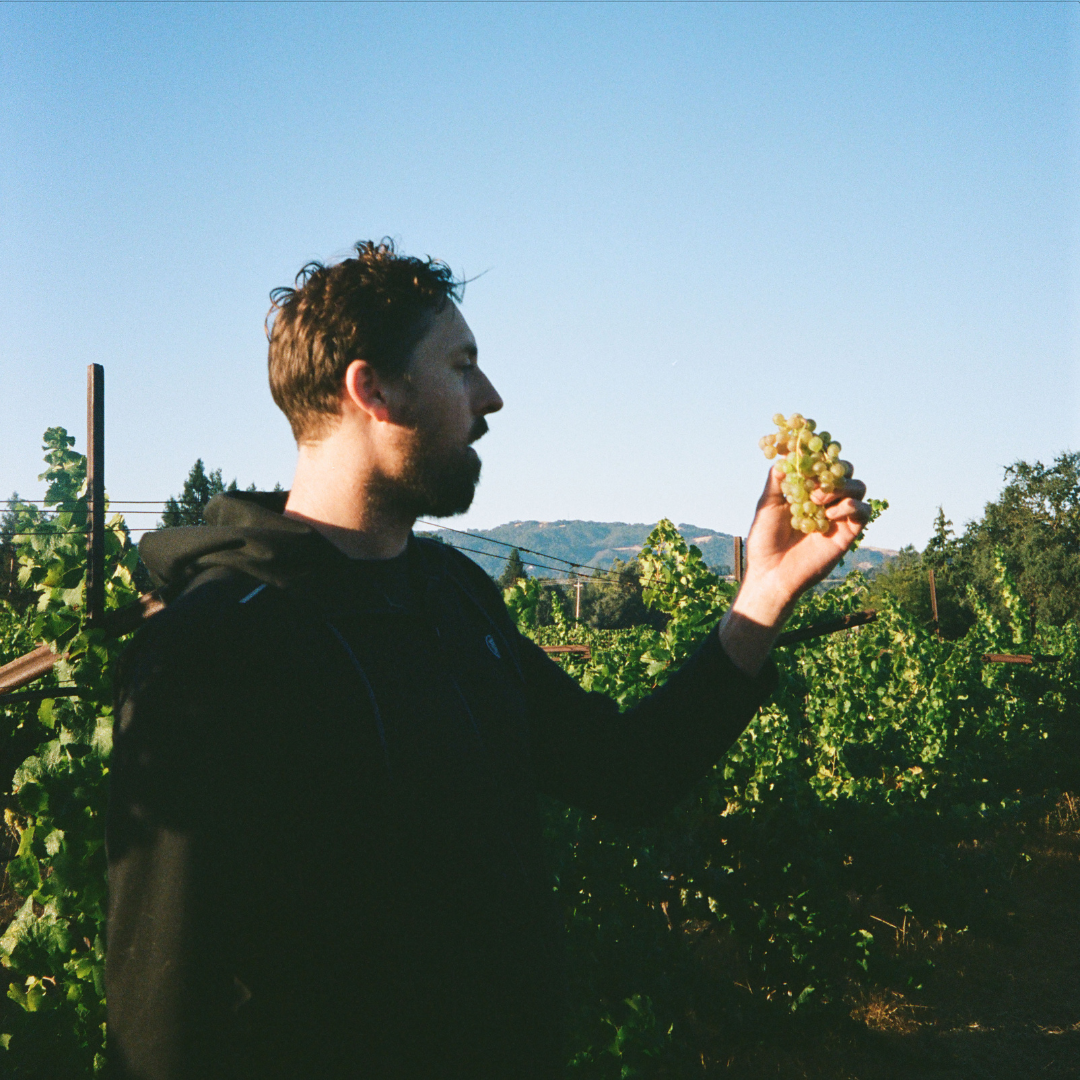 Untitled design (17).png