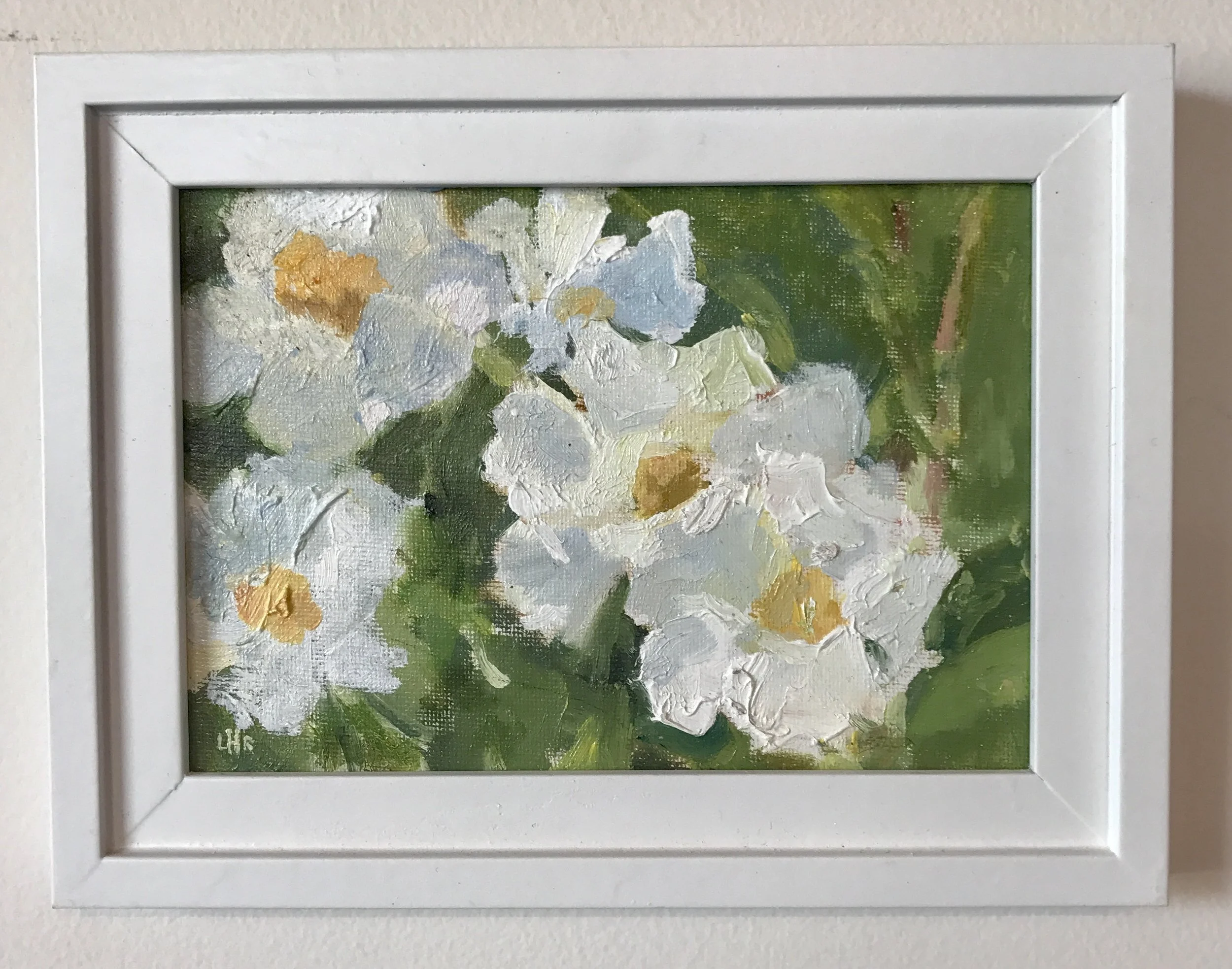 "Mandevilla" - 5" x 7" (Board) - $300