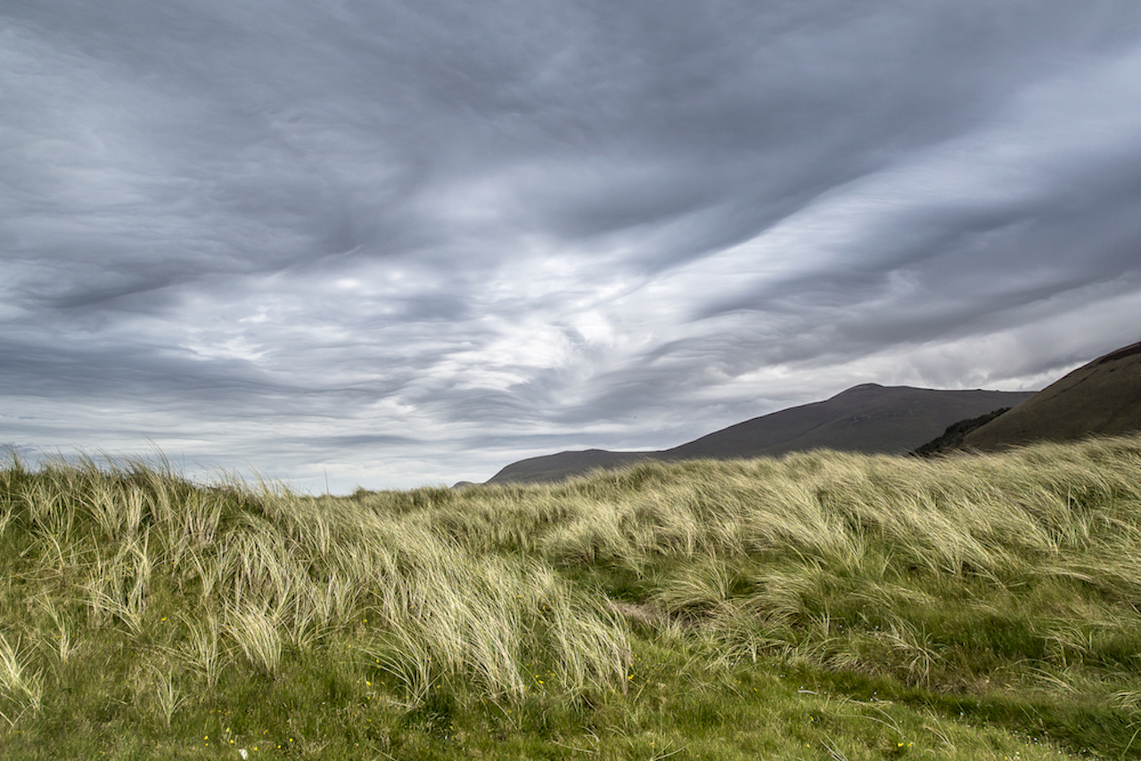 Ireland 2015-3951.jpg