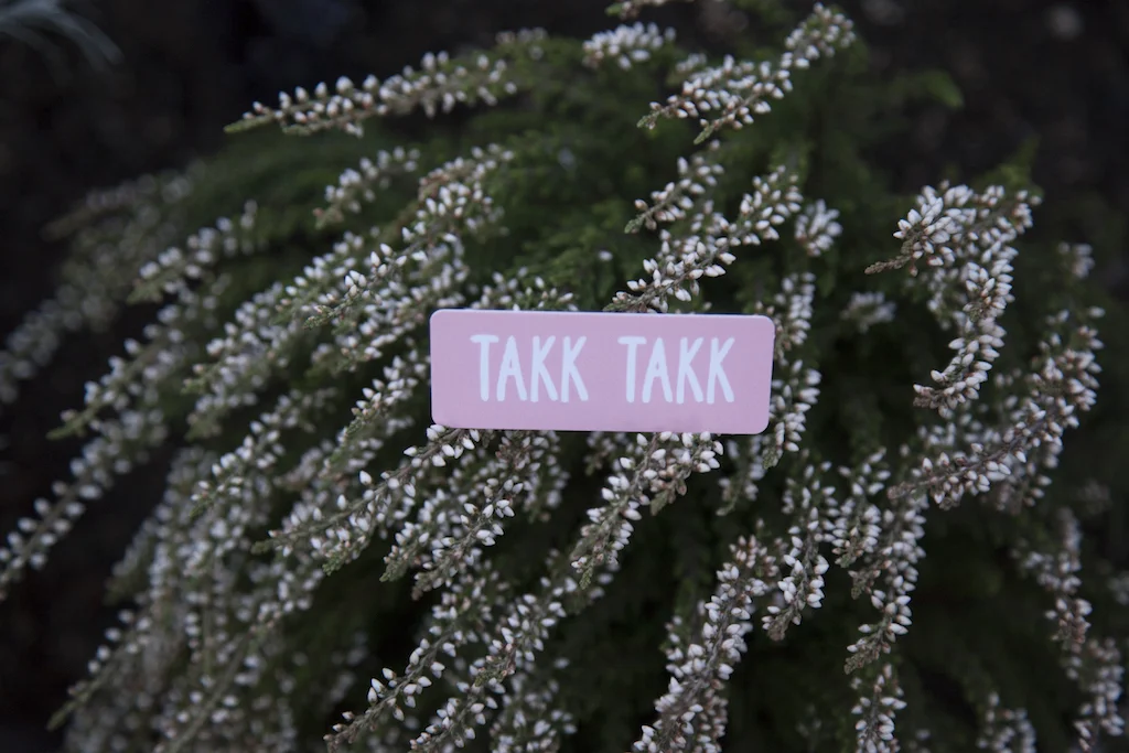 Takk Takk.jpg