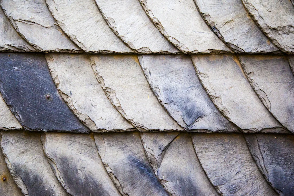 Texture-1-2.jpg