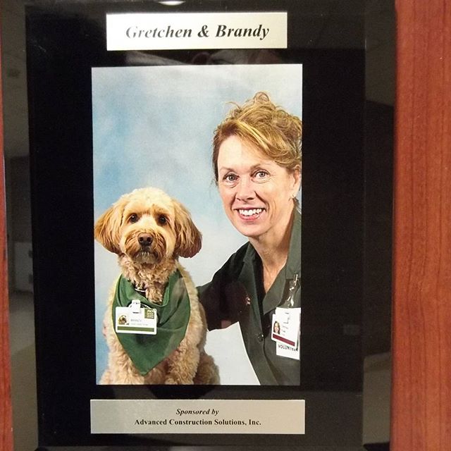 ACS sponsored Brandy at NCH for dog therapy