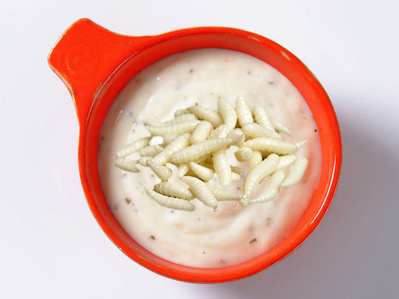 To a worm in horseradish, the world is horseradish