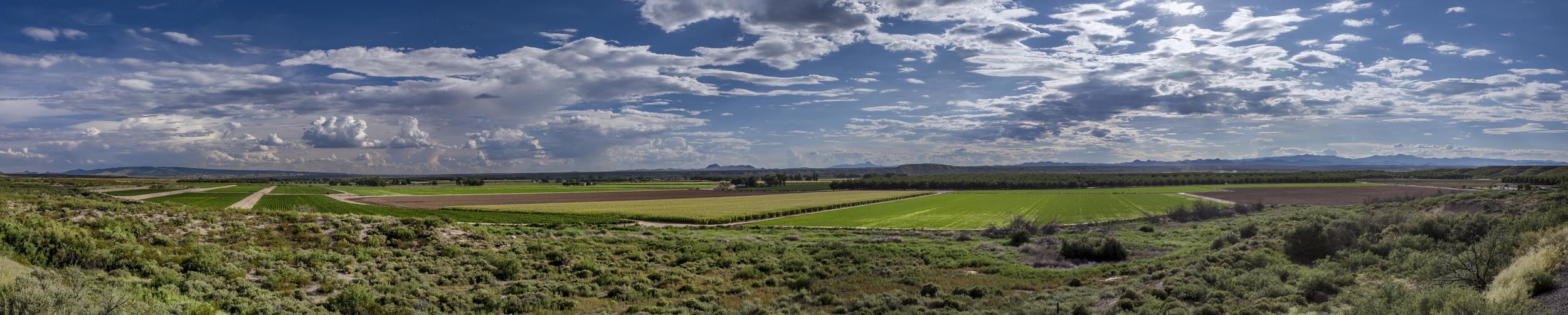 Farms, North of Las Cruces.jpg