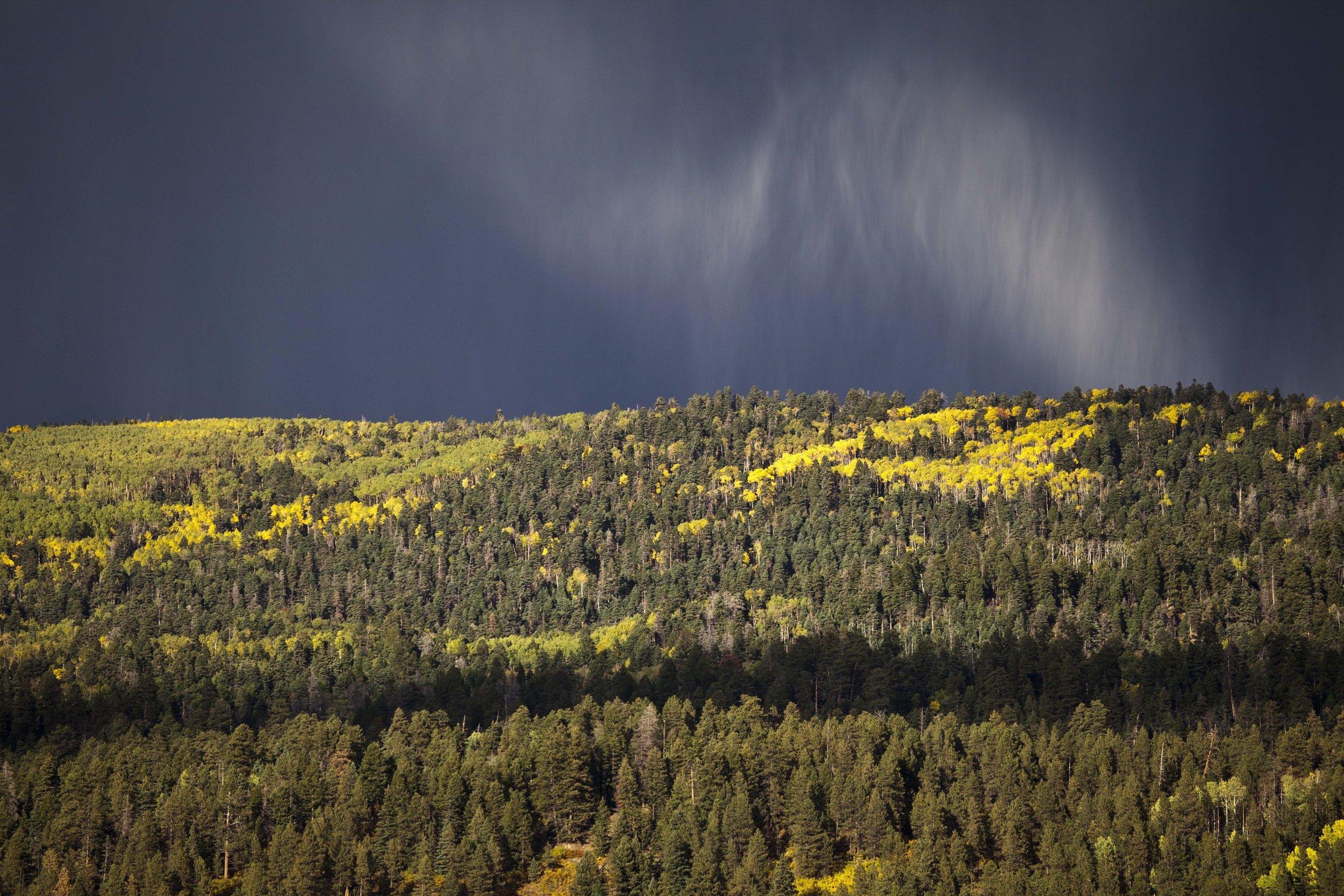 Mountain Rain, Upper Pine River.JPG