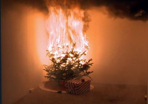 Tree fire CPSC.jpg
