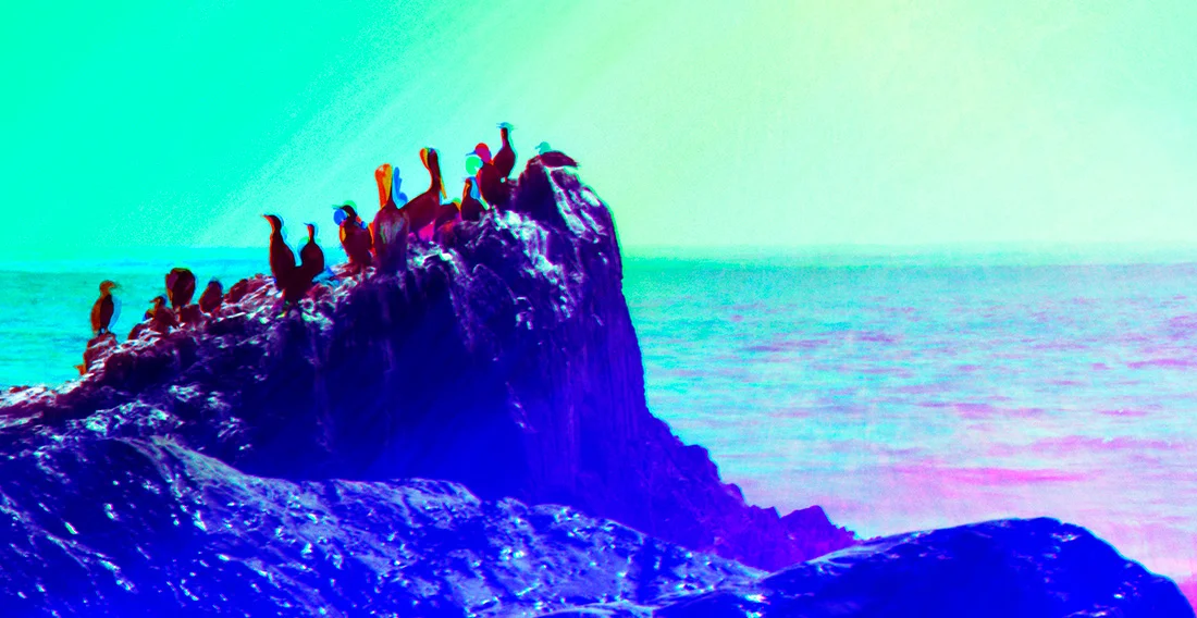 spectroland_sea_1100_038.jpg