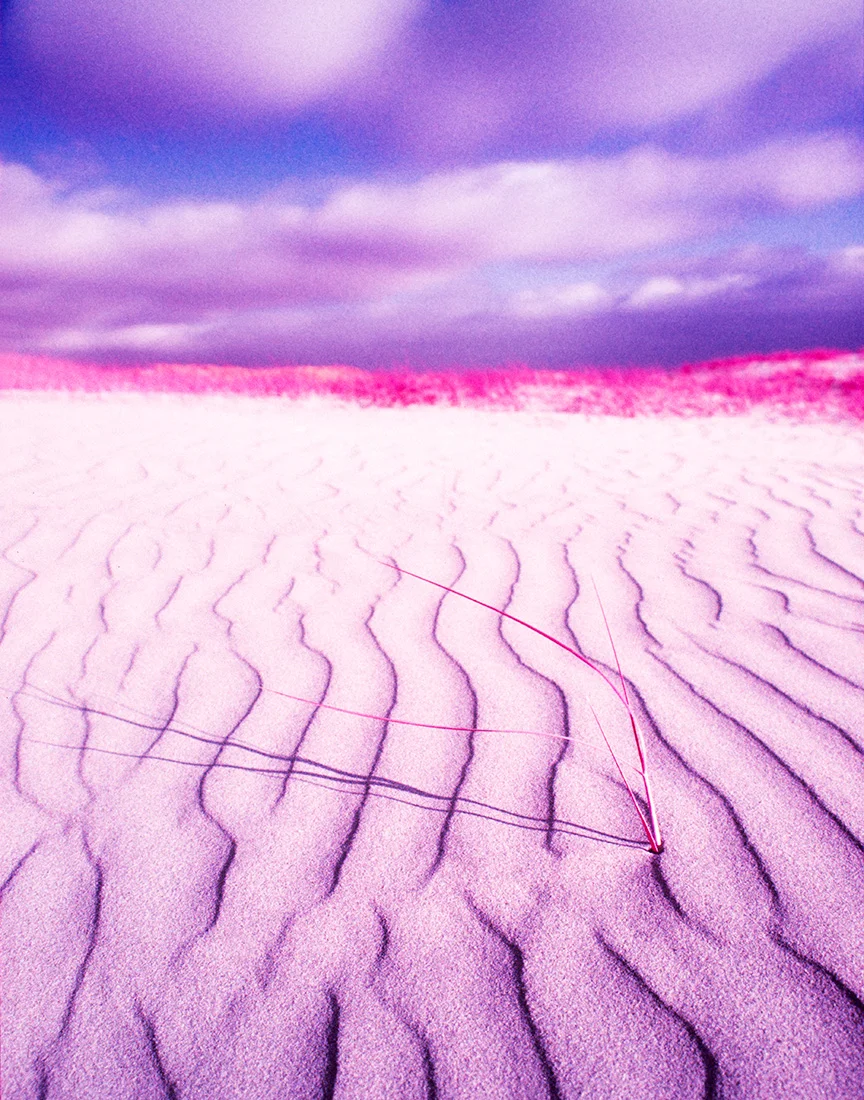 spectroland_sea_1100_054.jpg