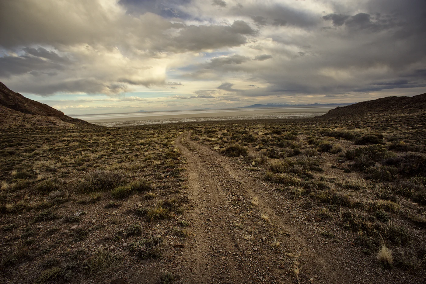 _DSC5520_0x0-1.jpg