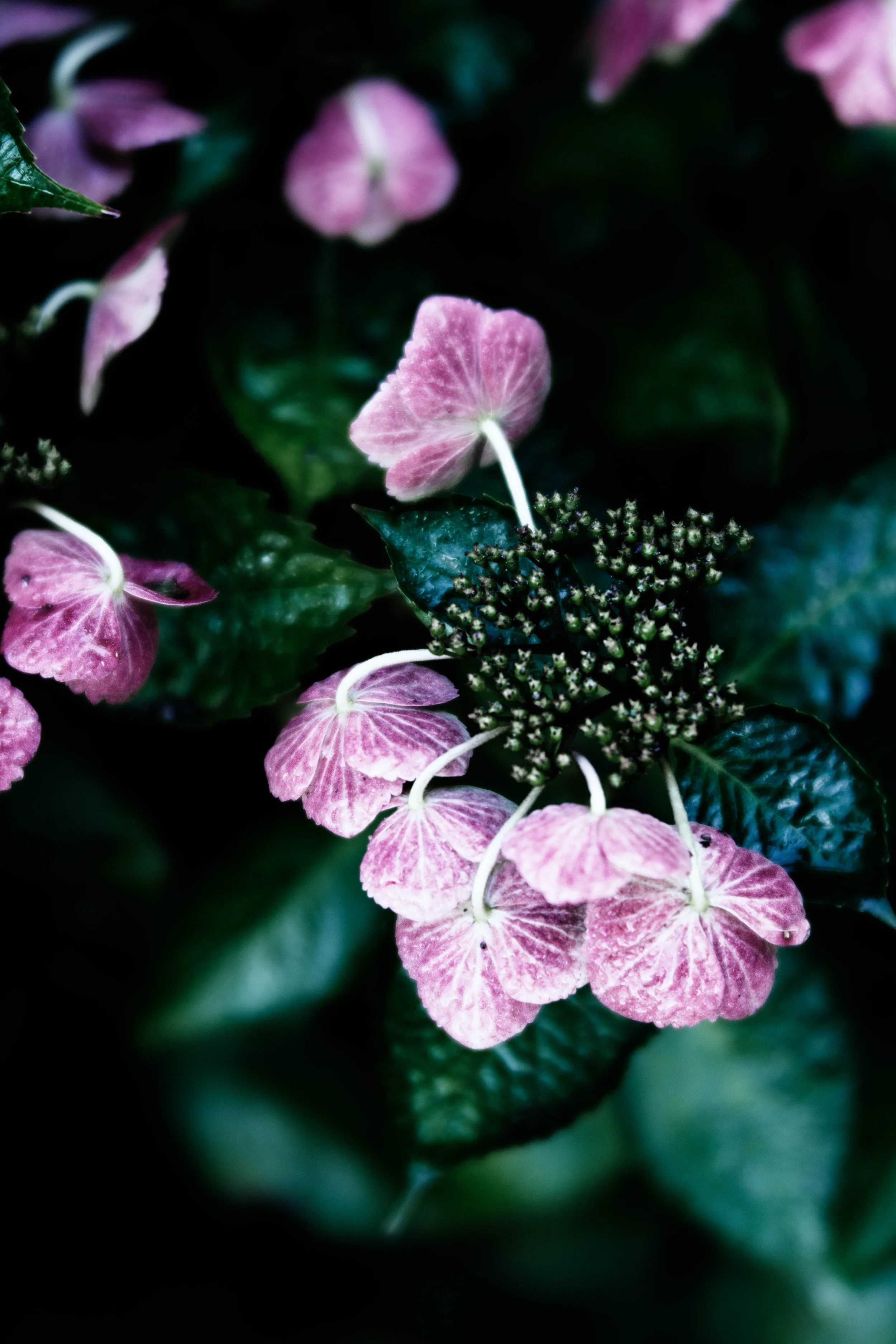 _DSC0281-Edit.jpg