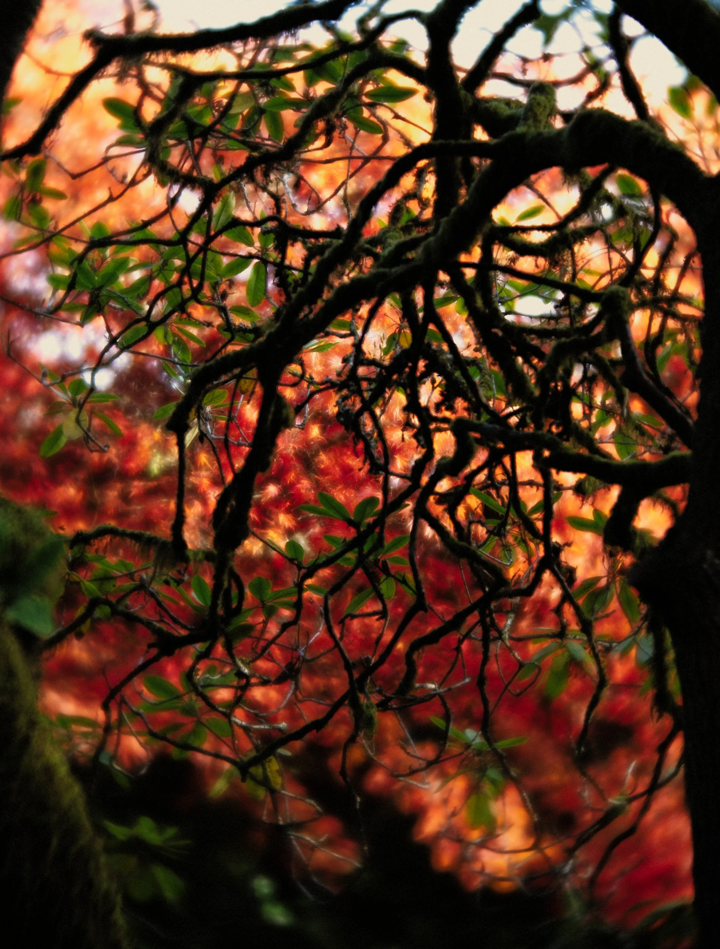 _DSC0145-Edit.jpg