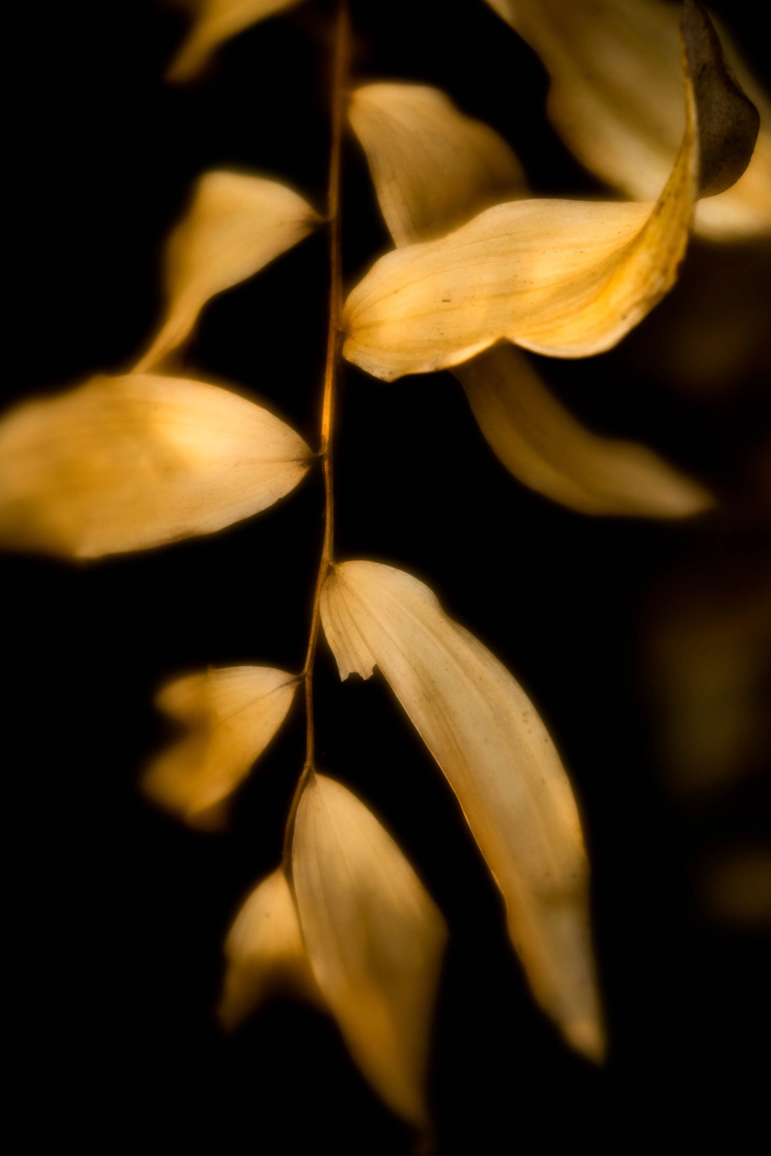 _DSC7637.jpg