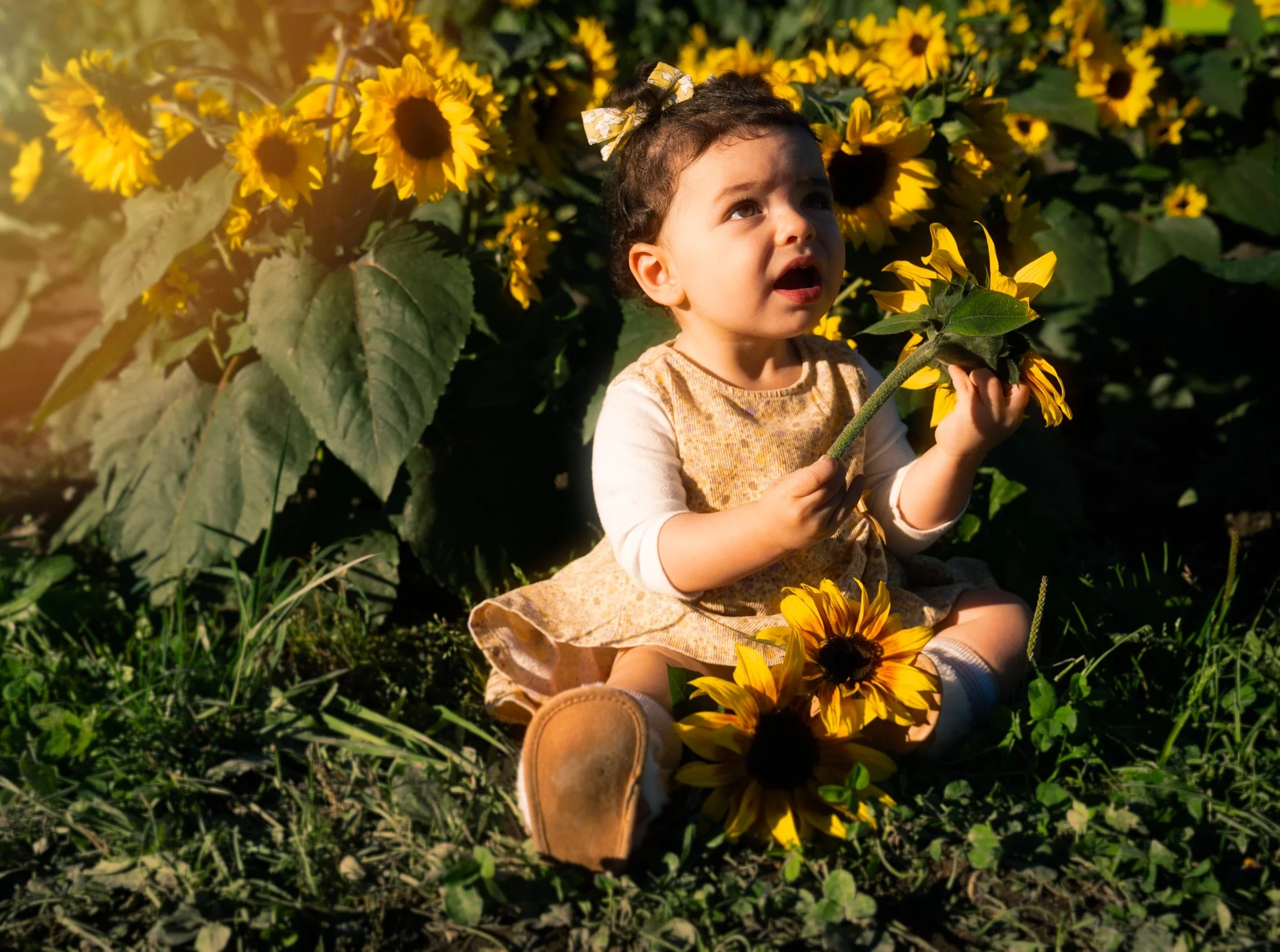 _DSC8606-Edit-4.jpg
