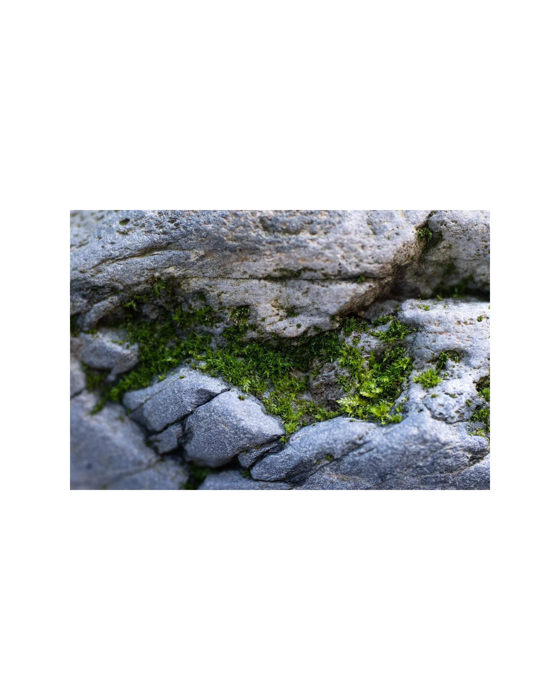 "Nook" 12" x 8" Fine Art Matte Giglee Print, signed