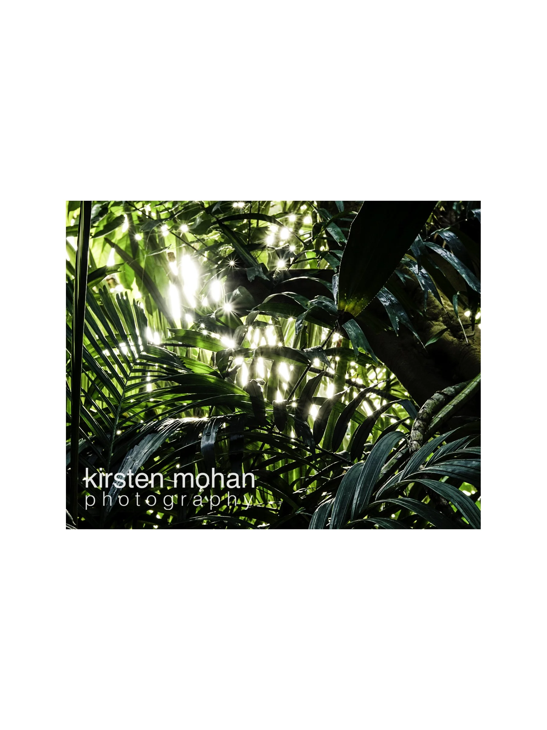 Glitter Palms Vinyl Sticker 3"
