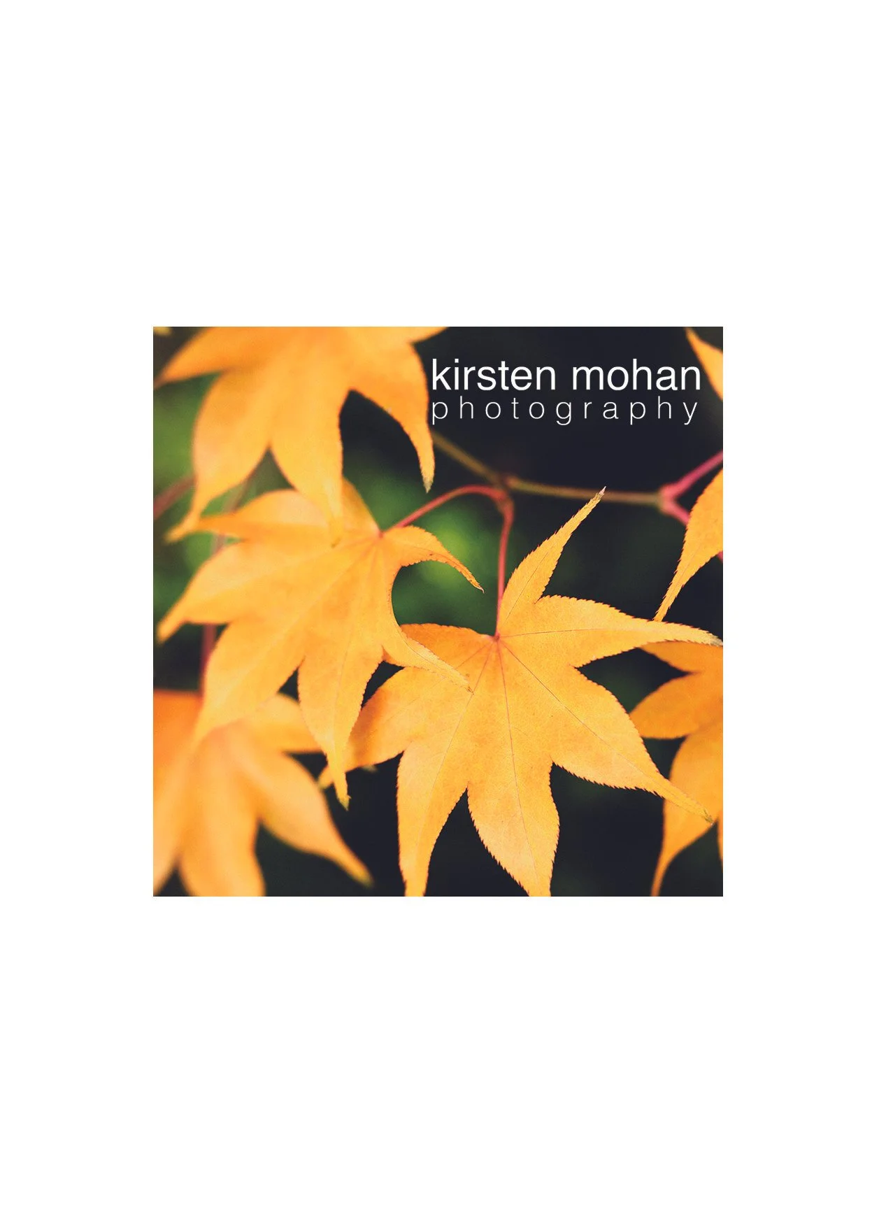 Leaves Vinyl Sticker w/logo
