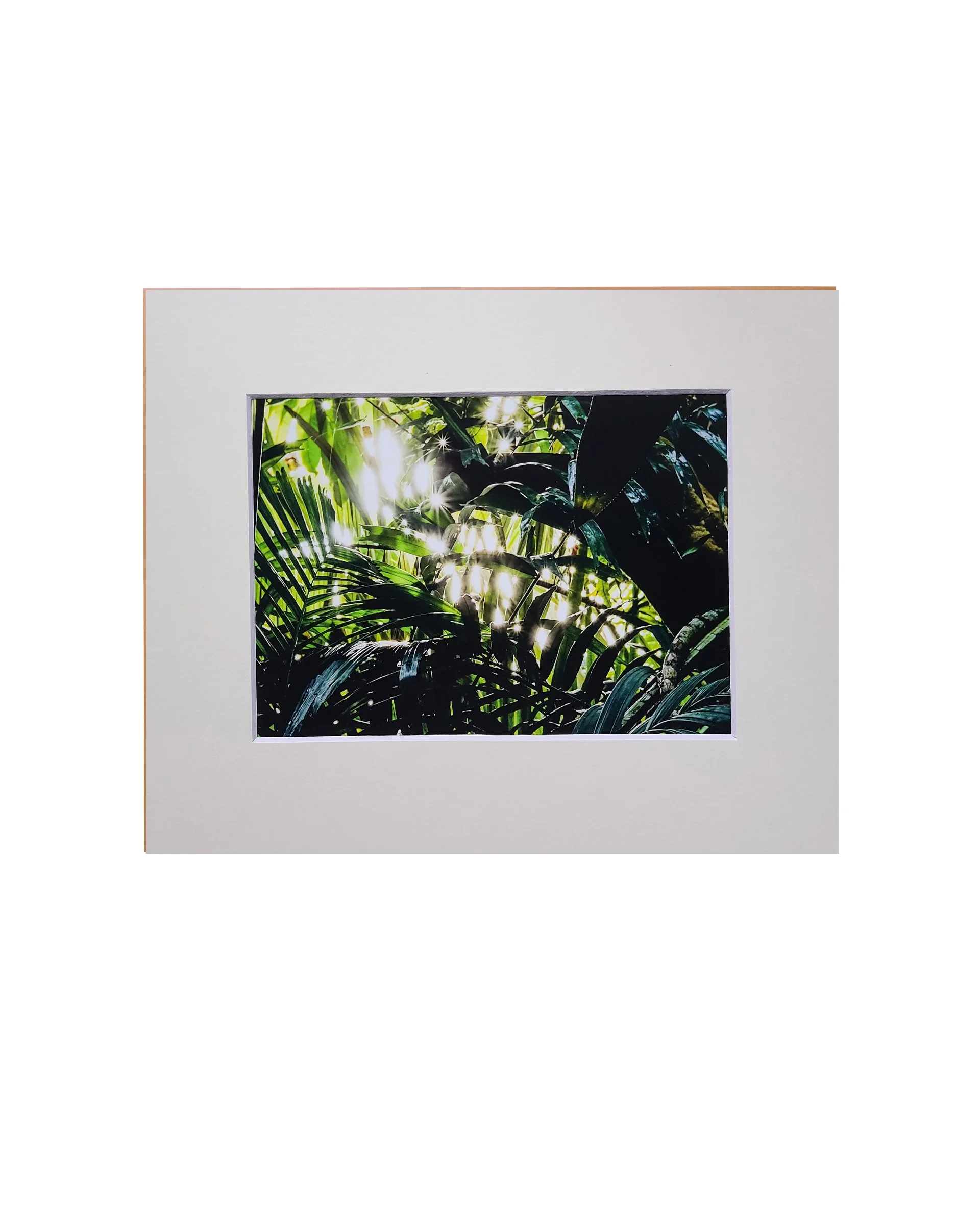 Greens Fine Art Matte Print, Signed and Matted, 5" x 7" Matted to 8" x 10"