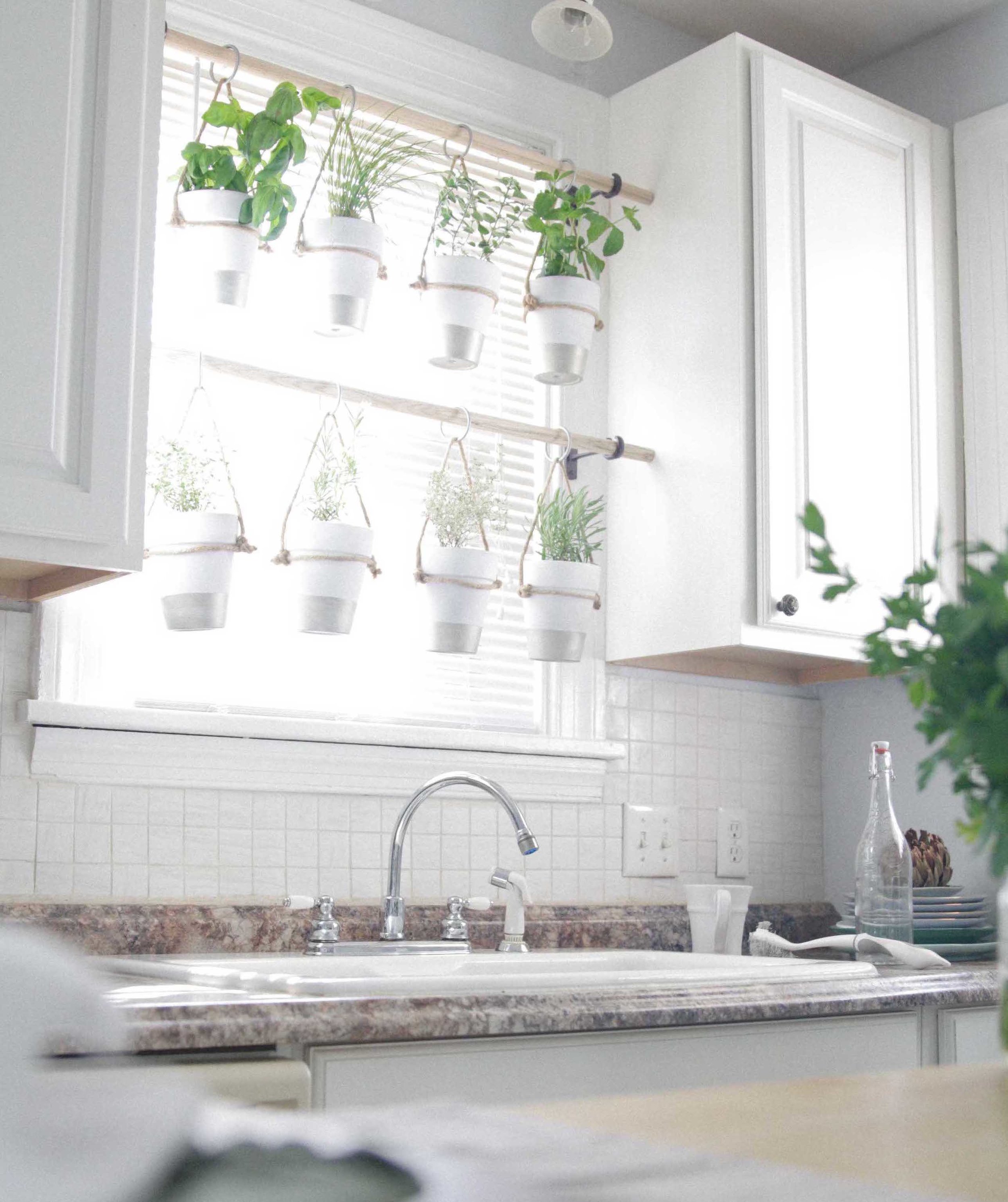 The Bird And Her Song Indoor Hanging Herb Garden