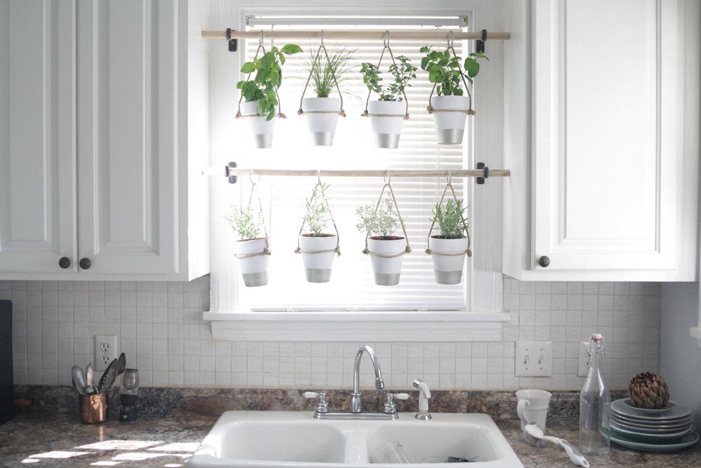 The Bird And Her Indoor Hanging Herb Garden Indoor Hanging Herb Garden, Kitchen Herb Gardens