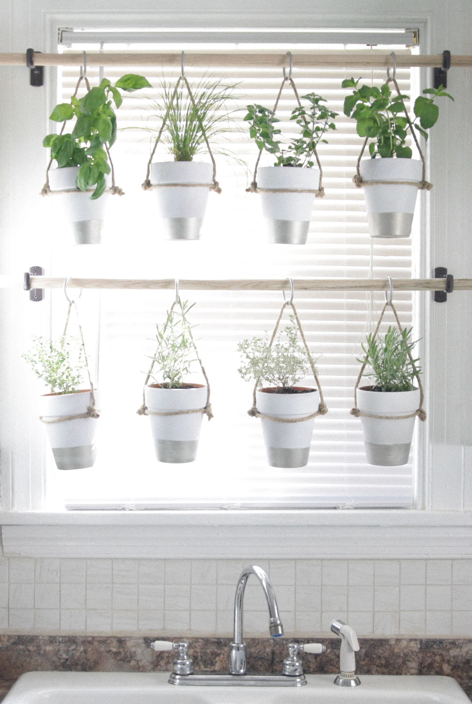 The Bird And Her Song - Indoor Hanging Herb Garden
