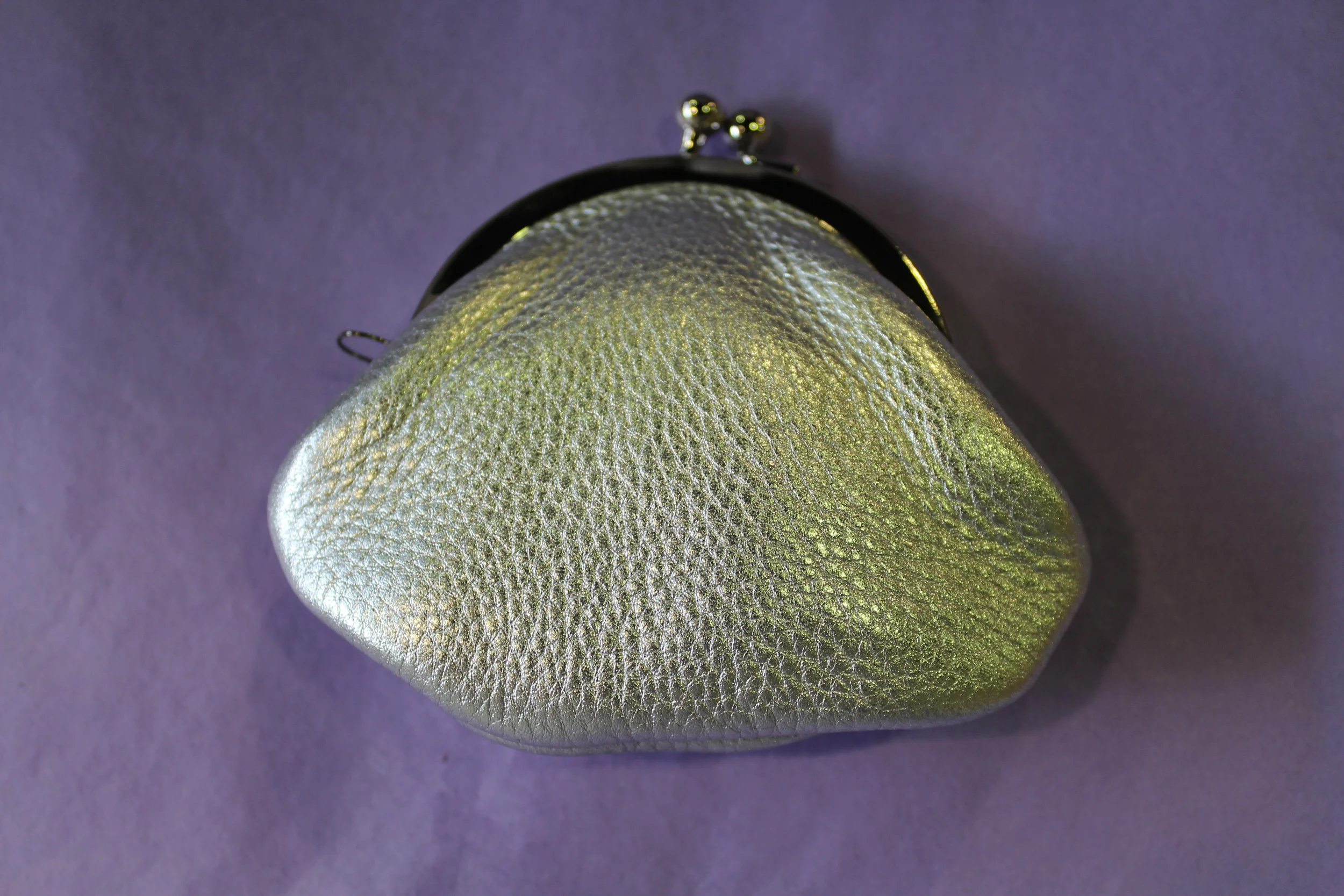 Clasp purse silver.JPG
