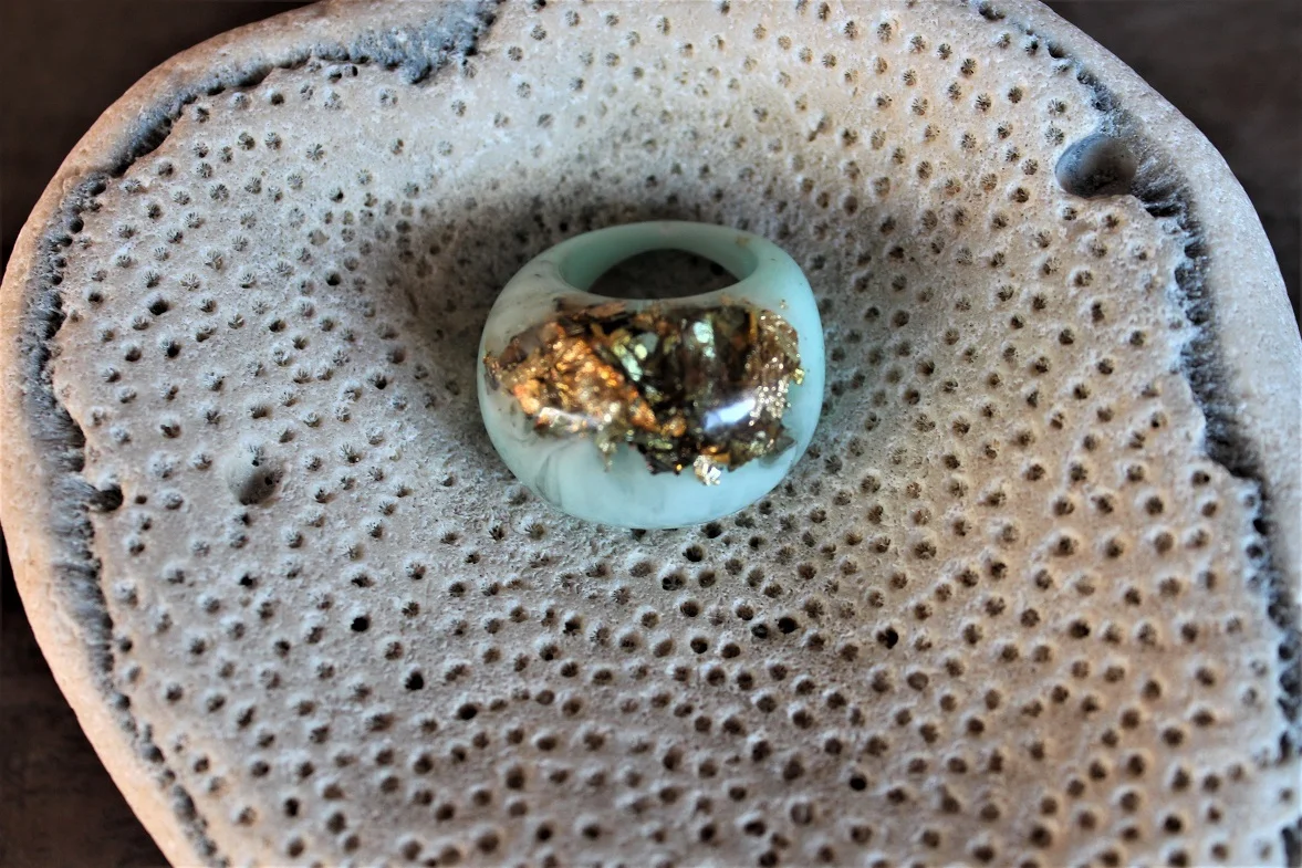 RinggreyBlueonCoralIMG_8920 (2).JPG