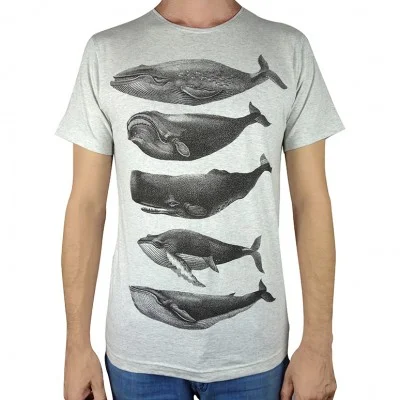 whales-grey-marle-mens-tee-xs.jpg