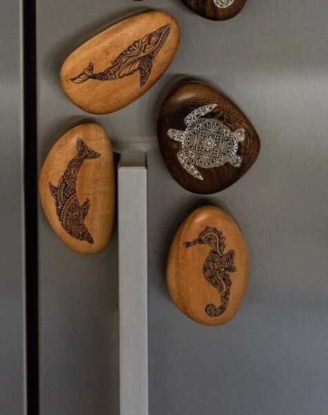 magnets on fridge.jpg