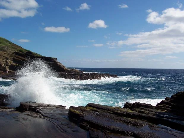 oceanview2.jpg