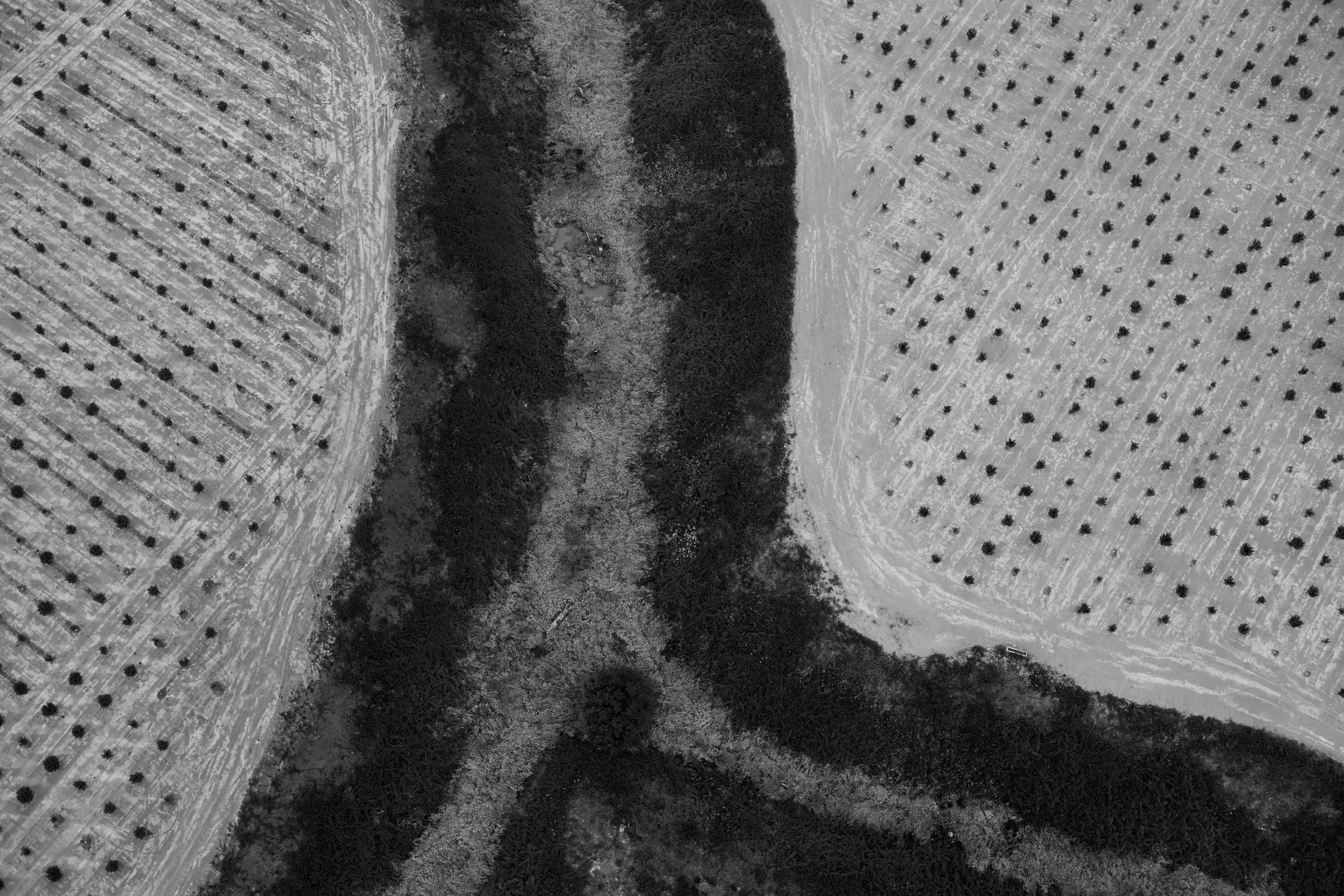 Interviewed for No More Potlucks, Sept/Oct 2017 Issue